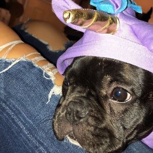 Meet your Posher, Jada